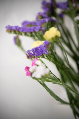 Naturaleza Primaveras flores jardín