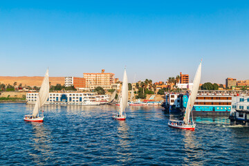 Traditional felucca boats on the Nile River in Aswan. - 779664447
