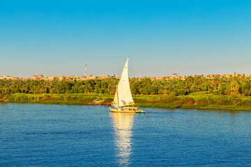 Traditional felucca boat on the Nile River. - 779664479