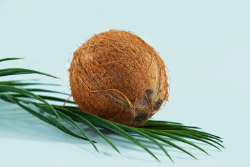 Whole coconut and palm leaf on a light blue background. - 779664803
