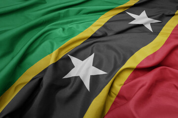 waving colorful national flag of saint kitts and nevis.