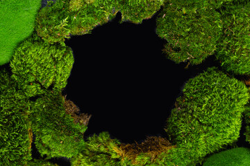 Texture of natural moss with a black hole. - obrazy, fototapety, plakaty