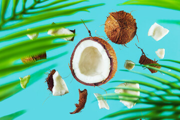 Broken coconut and palm leaf on a blue background. - 779664869