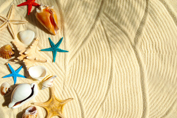 Colored starfish and shells on white wavy fine sand. - 779665092
