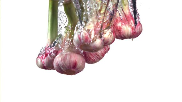 Super slow motion fresh garlic falls into the water with splashes. High quality FullHD footage