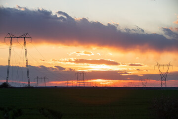 Golden Wheat Field at Sunset