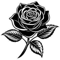 Fototapeta premium Flower vector illustration. 