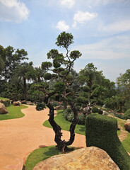  Fancifully trimmed trees, flowers and boulders