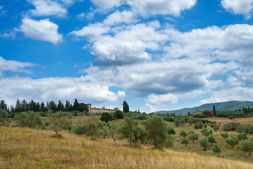 Rural landscape of Chianti, Tuscany, Italy