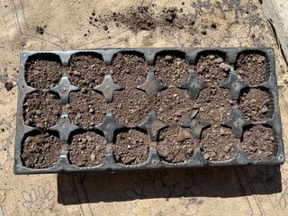 Plastic reusable black seed tray for sowing flower and vegetable seeds in spring in fertile soil....