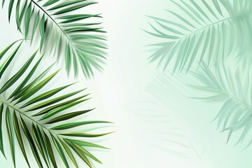 Obraz premium Minimal abstract background with blurry shadow of tropical palm leaves. Cosmetic product Presentation. Premium podium. Pastel light empty green wall. Showcase display case, Top view. Modern Spa mockup