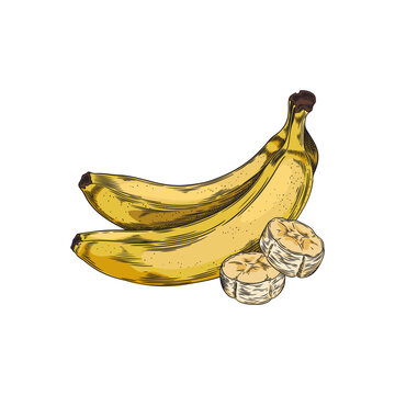Pencil sketch of a ripe banana on an isolated background.