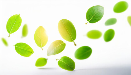 green leaves flying and floating in the air isolated on white background, Flying whirl green leaves in the air, Healthy products by organic natural ingredients concept. Generative AI
