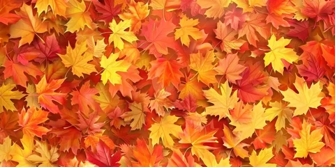 Poster autumn leaf fall autumn landscape yellow-red leaf Generative AI © Valentine