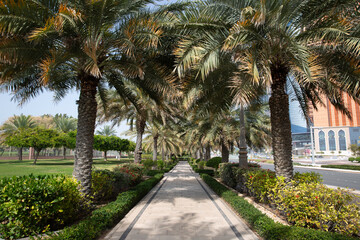 Fototapeta na wymiar beautiful alley for walking in Abu Dhabi