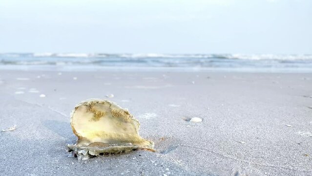 Tropical beach of Thailand, blue ocean waves breaking on rocks and sand. Beautiful sea waves come to a beach with seashells.