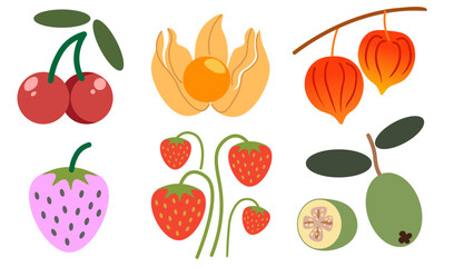 set of color isolated berries in flat shape style in vector. image of natural healthy eco food.template for logo sticker poster print decor design