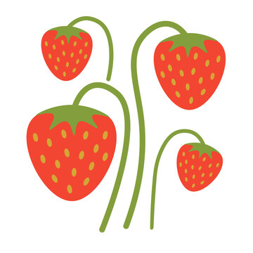 color isolated strawberry in flat shape style in vector. image of natural healthy eco food.template for logo sticker poster print decor design