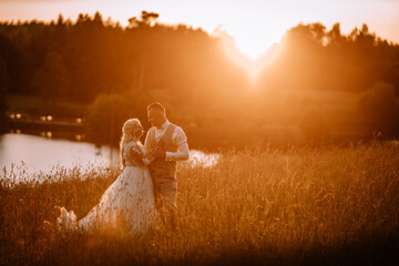 A wedding couple stands in a field, enveloped in golden sunlight with trees in the background, the...