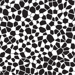 Black and White Vector Patterns: Abstract Collection