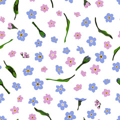 Forget me not flower background. Floral vector seamless pattern