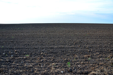 a plowed field with horizon line isolated copy space 