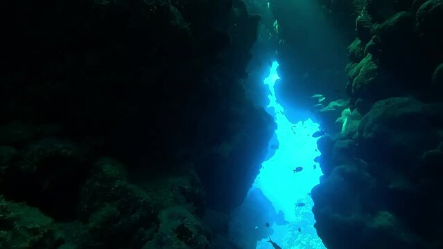 View from inside an underwater cave, looking outwards with black_blue cutouts in the rock. Check the gallery for similar footages.