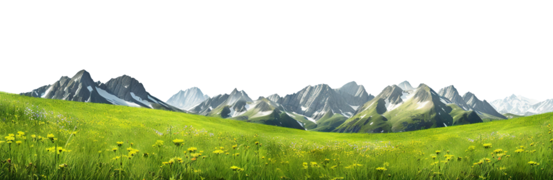 Serene alpine meadow with sprawling green grass and majestic snow-capped mountains in the distance, cut out