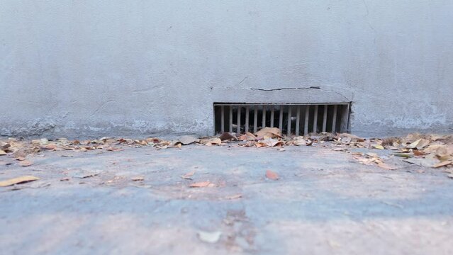 Small Drainage Outlet at Fence Base