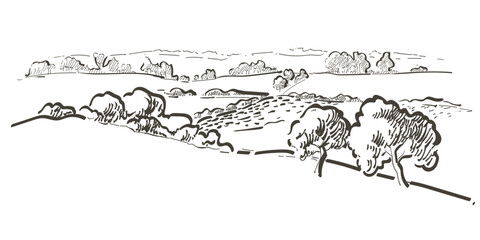 Grass on the fields hill landscape. Set of fruit trees: olive, apple, plum, apricot. Orchard, grove. Vector realistic black and white vintage sketch illustration - obrazy, fototapety, plakaty