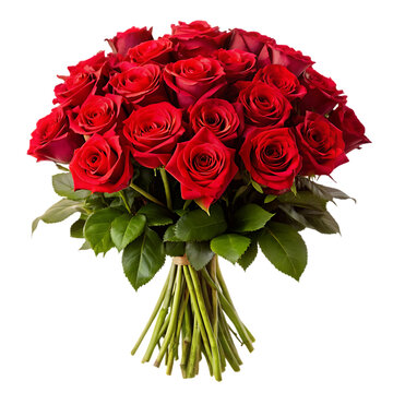 quality bouquet of red roses isolated