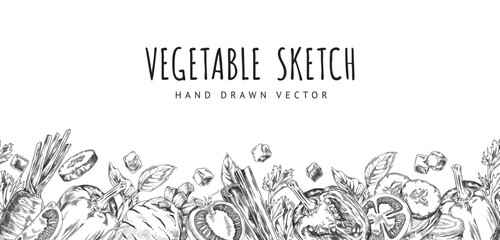Elegant vegetable sketch vector set