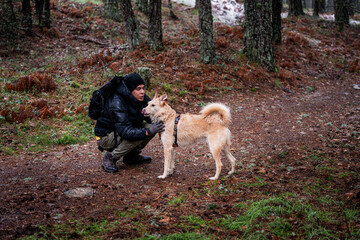 Winter woodland, man and pet dog share a bond amidst tall pine trees.