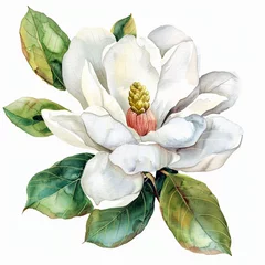 Rugzak Watercolor magnolia clipart with large white petals and green leaves © Sirirat