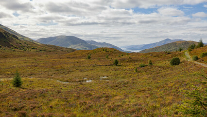 Loch Linnhe from Cow Hill Path