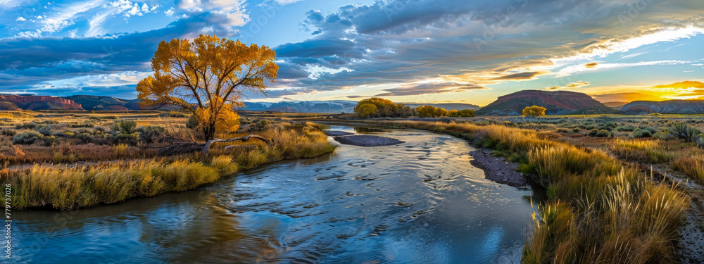 Wall mural A river with a tree in the foreground and a beautiful sunset in the background