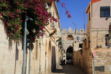 Lion's Gate in Jerusalem, Israel - 779739283