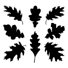 Red and white oak tree leaf silhouettes, vector illustration