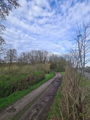 nature path in Martensdorf, Mecklenburg - Vorpommern, Germany