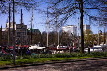 This is a photo of Het Park in Rotterdam, Netherlands, taken in April 2024.