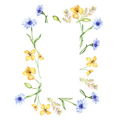 Obraz na płótnie Canvas Frame with yellow and blue flowers watercolor illustration isolated on white background. Celandine and cornflower in scetch. Medicinal plant, useful flower hand drawn. Design for label, package