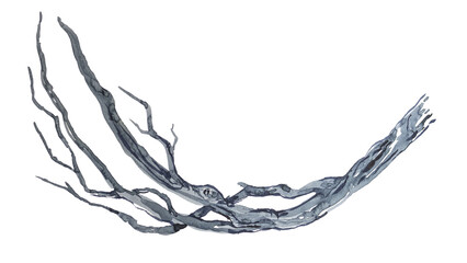 Watercolor branch clipart.Nature concept frame illustration.