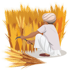 farmer harvesting wheat crops