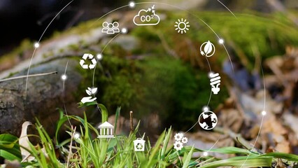 Net zero concept , carbon neutral concept. Net zero greenhouse gas emissions target. Climate neutral long term strategy 2050 with net zero digital icons on nature background.Space for text or logo