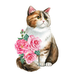 Beautiful cat with garden rose flowers on isolated background. Watercolor painting, botanical illustration