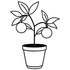 flower in a flowerpot illustration