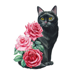 Beautiful black cat with garden rose flowers on isolated background. Watercolor painting, botanical illustration