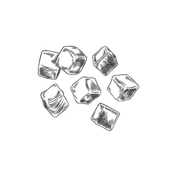 Ice cubes sketch vector illustration