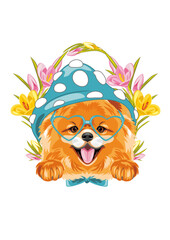 Cute smiling Pomeranian dog with blue hat and eyegiasses. Festive design