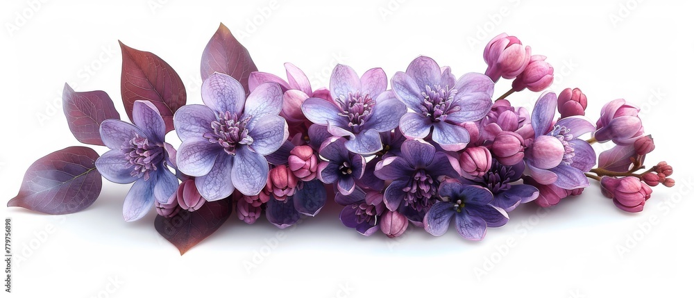 Wall mural Flower bouquet with lilacs and magnolia isolated on a white background. Design element.